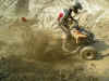 DSCN0135.jpg (222169 Byte)
