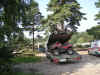 DSCN0191.jpg (203176 Byte)